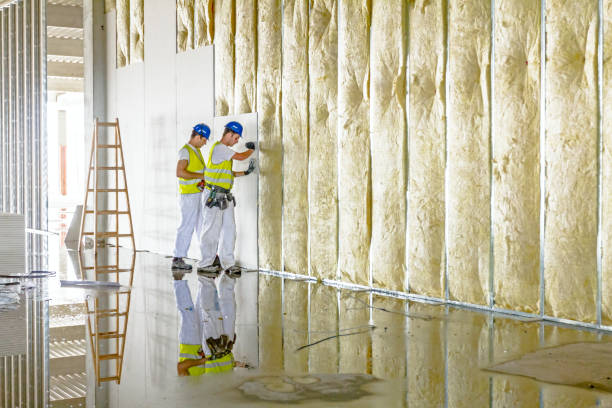 Best Cellulose Insulation in Key Biscayne, FL